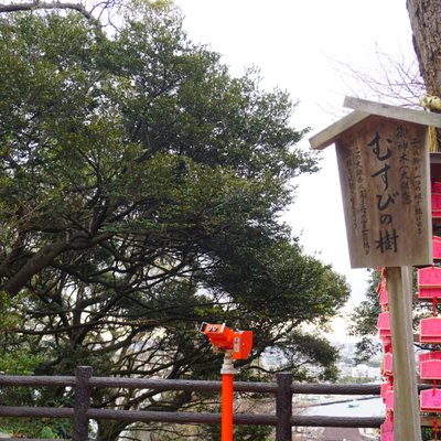 江島神社