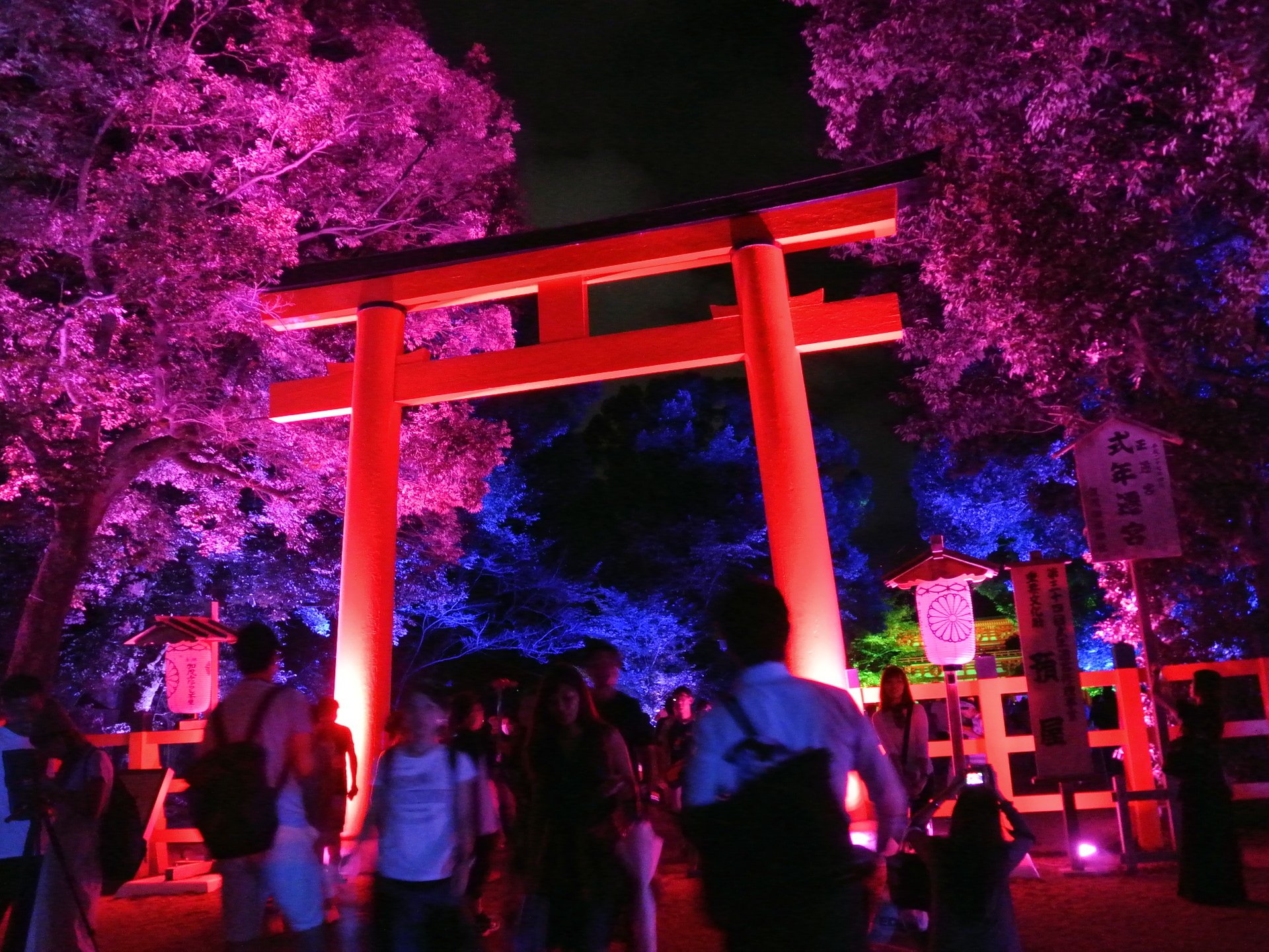 「糺ノ森の光の祭」からのビアガーデンで京都の夜を満喫しよう！