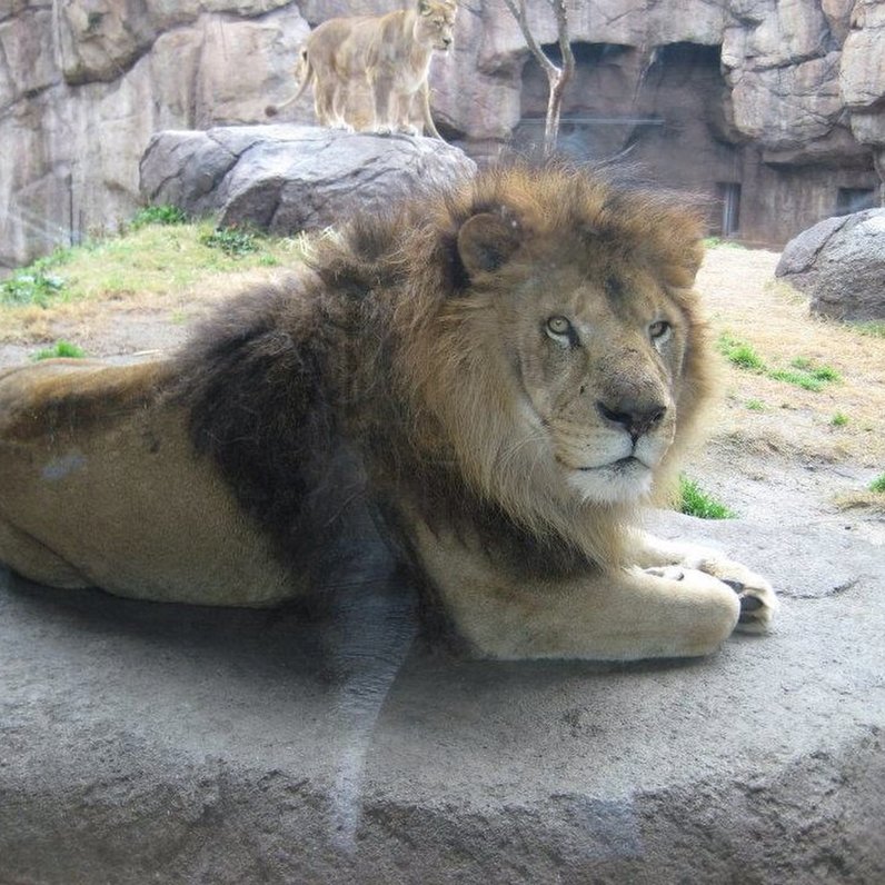 天王寺動物園