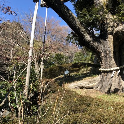 ホテル椿山荘東京