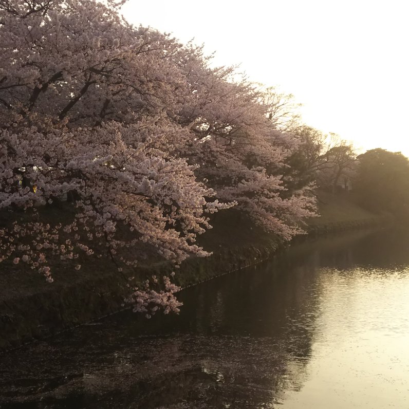 舞鶴公園