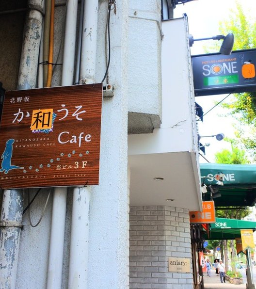 北野坂 か和うそ Cafe