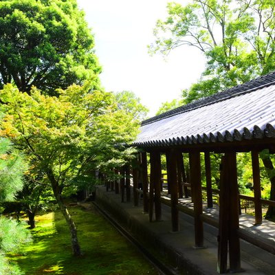 東福寺