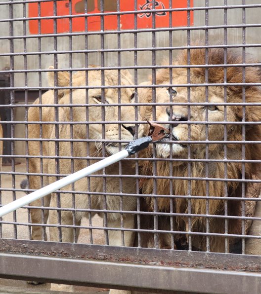 宇都宮動物園