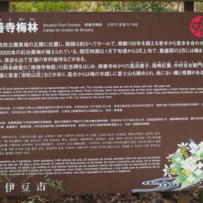 修善寺自然公園