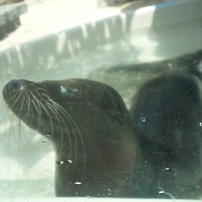 サンシャイン水族館