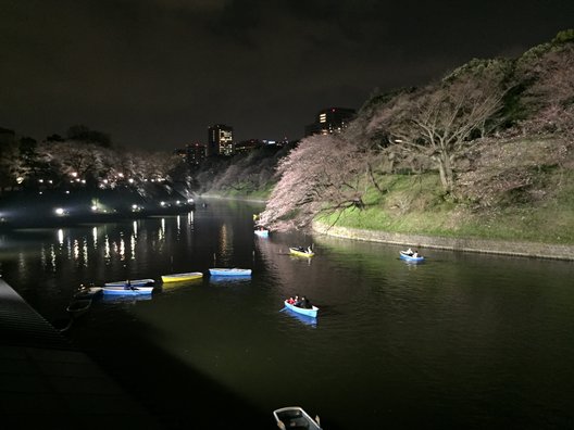 千鳥ケ淵緑道