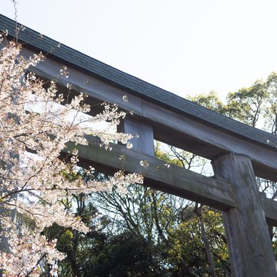 護国神社