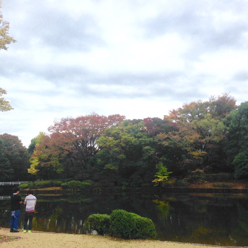 北の丸公園