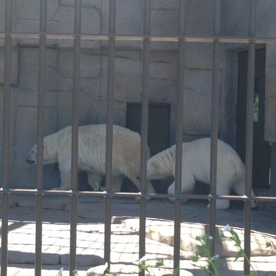 円山動物園