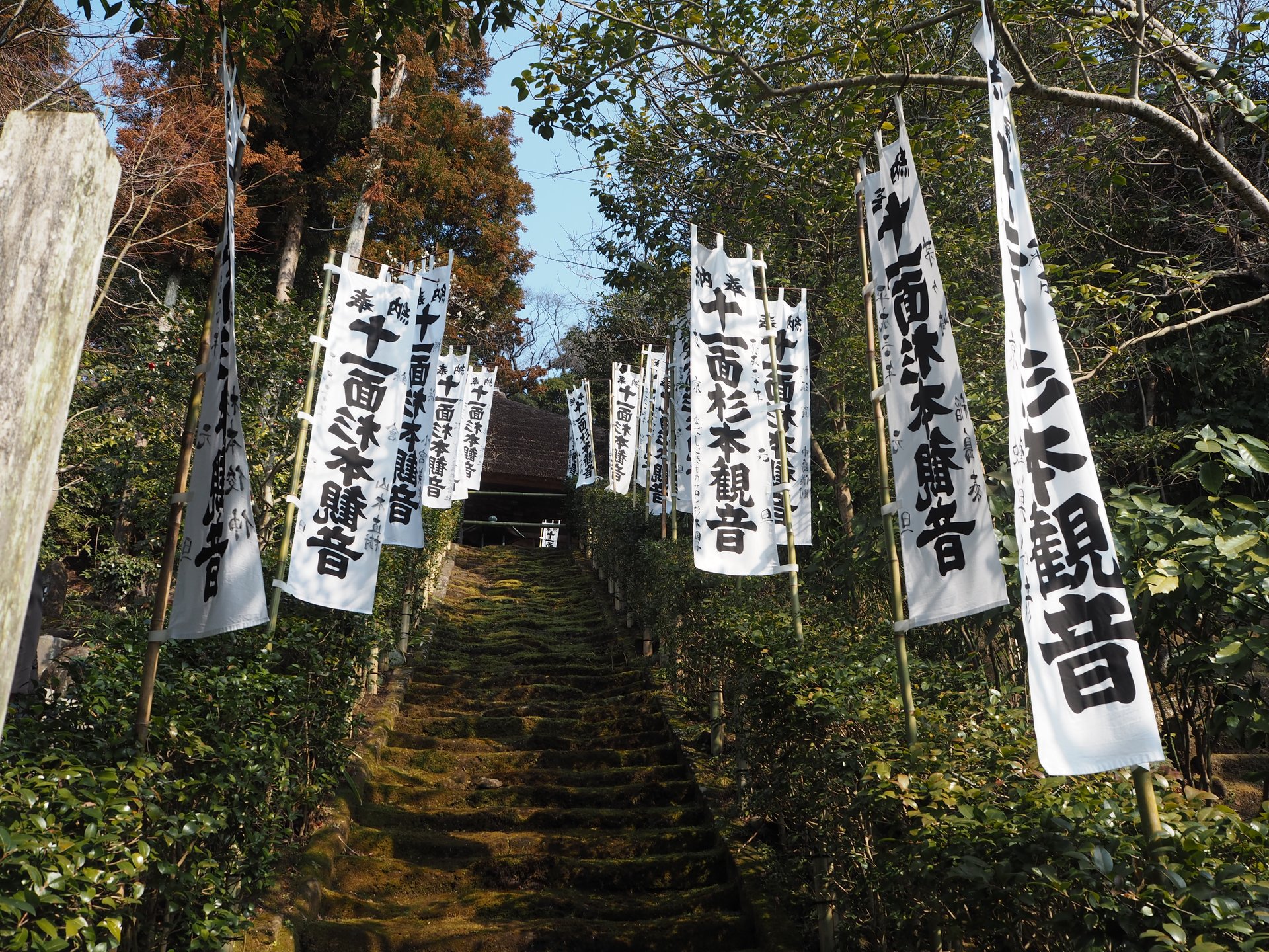 【鎌倉さんぽ】鎌倉最古のお寺・杉本寺！その歴史に思いを馳せながら、苔生した階段に心癒されよう♪