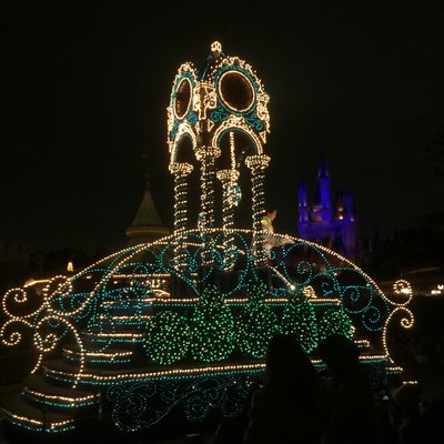 東京ディズニーランド(c)