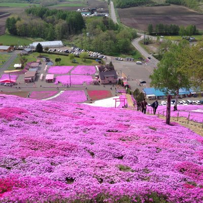 東藻琴芝桜公園キャンプ場