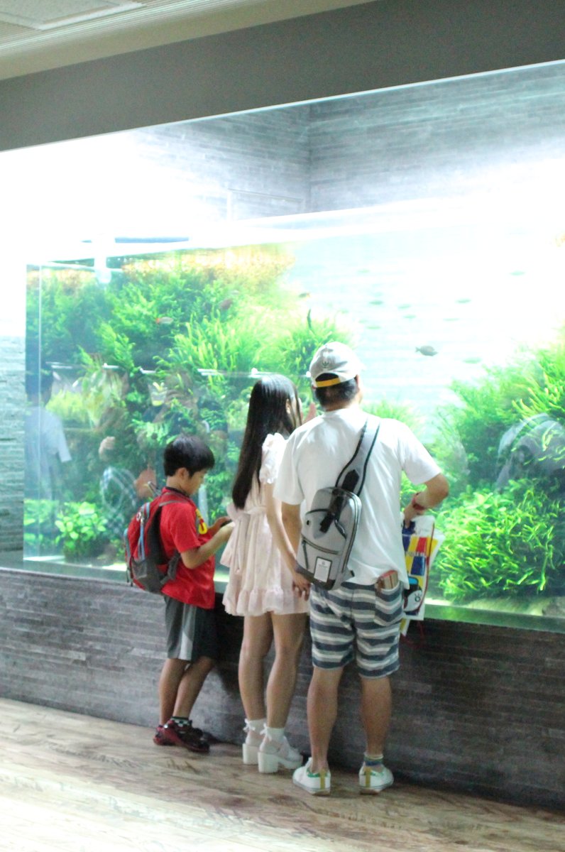 すみだ水族館