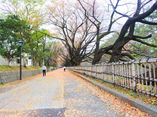 愛知県体育館