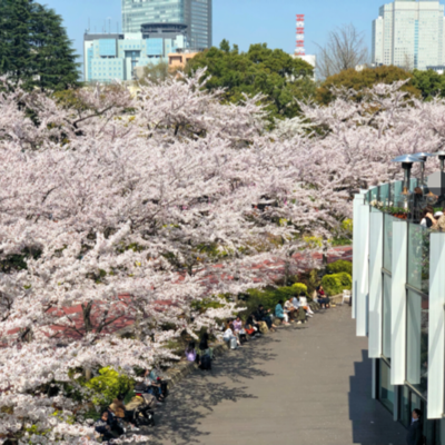 東京ミッドタウン