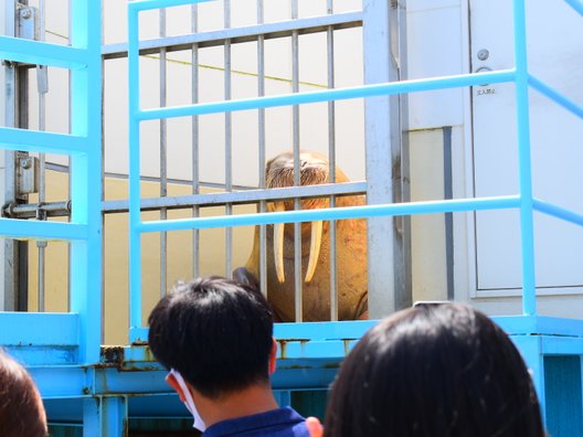 鳥羽水族館