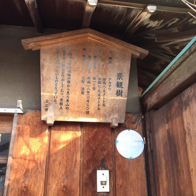 ひがし茶屋街