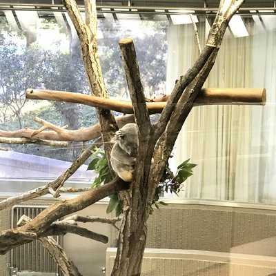 金沢動物園