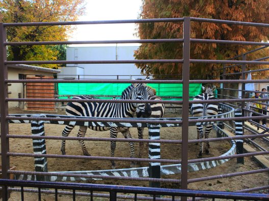 姫路市立動物園