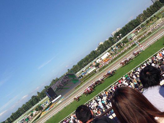 札幌競馬場