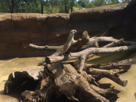 よこはま動物園ズーラシア