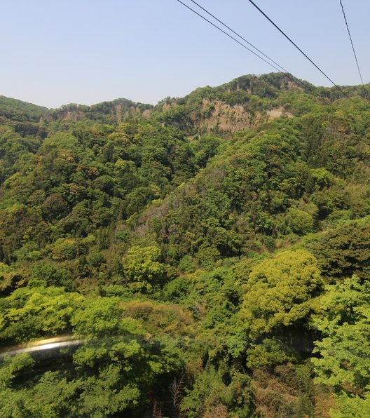 日本平ロープウェイ