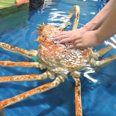 竹島水族館