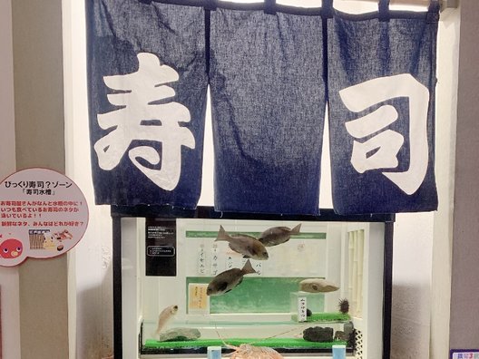 ヨコハマおもしろ水族館 よしもと赤ちゃん水族館