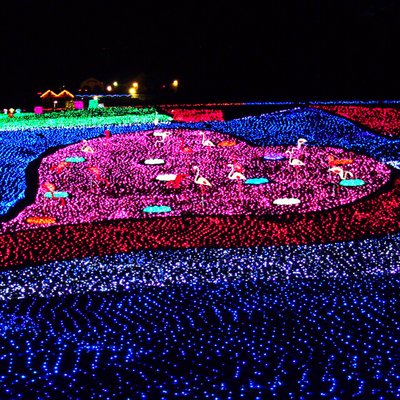 東京ドイツ村