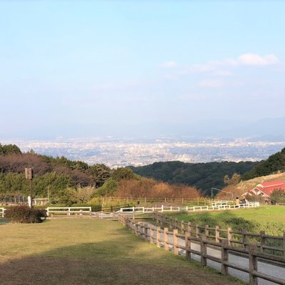 も～も～らんど油山牧場