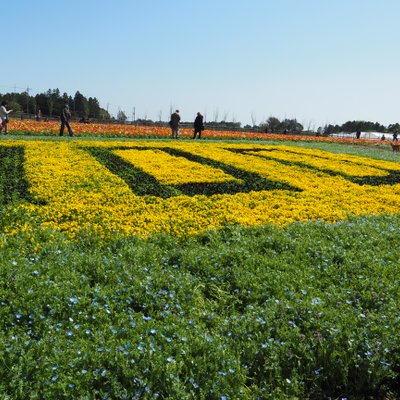 富田さとにわ耕園