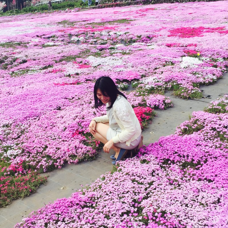 國田家の芝桜