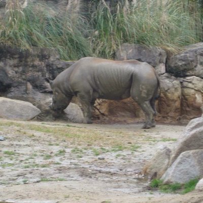 天王寺動物園