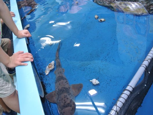 竹島水族館