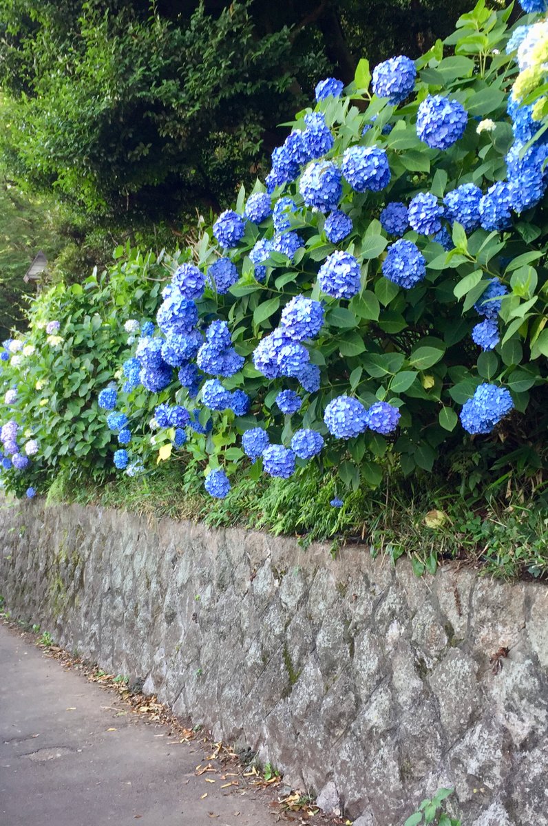 飛鳥山公園