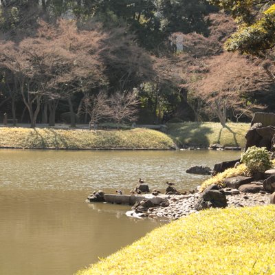 小石川後楽園 大泉水 