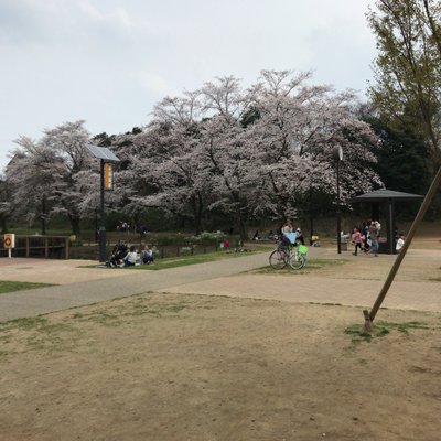 黒沢池近隣公園