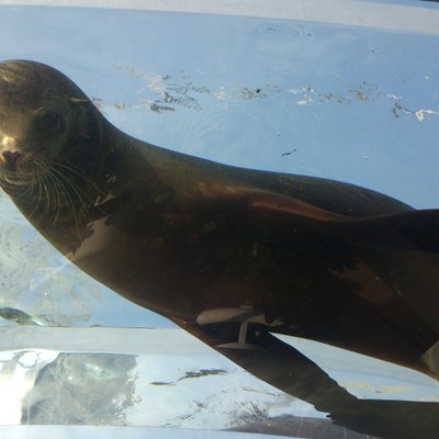 サンシャイン水族館