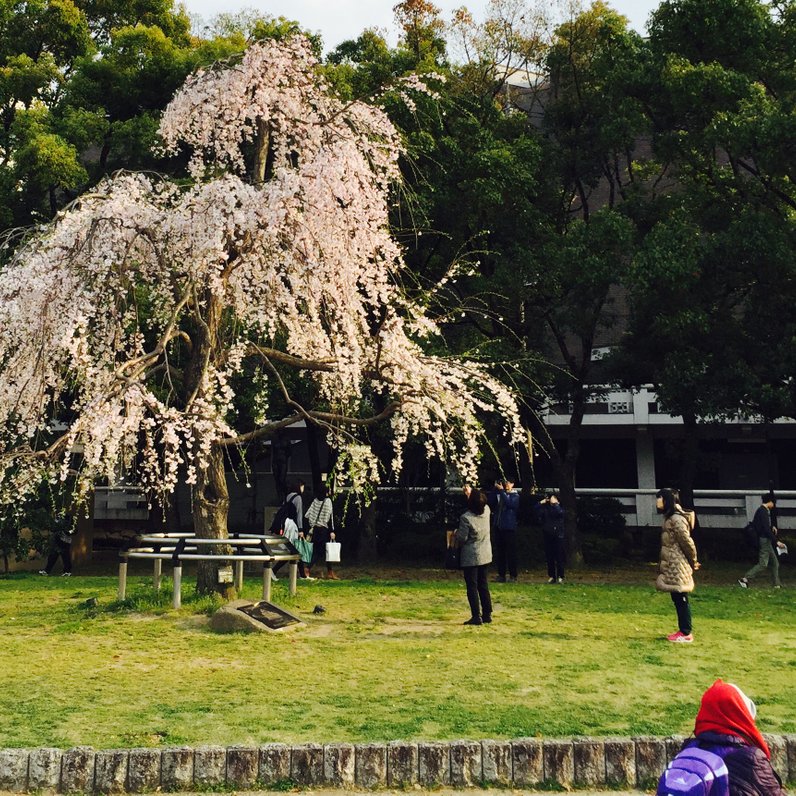 烏城公園