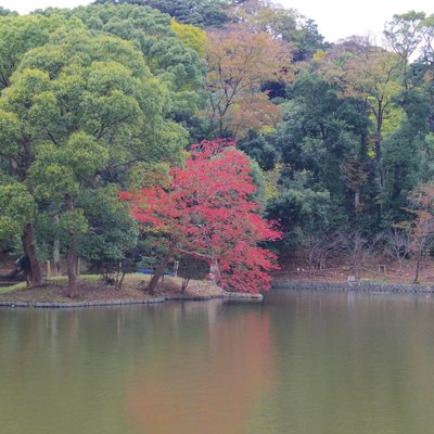 鶴岡八幡宮