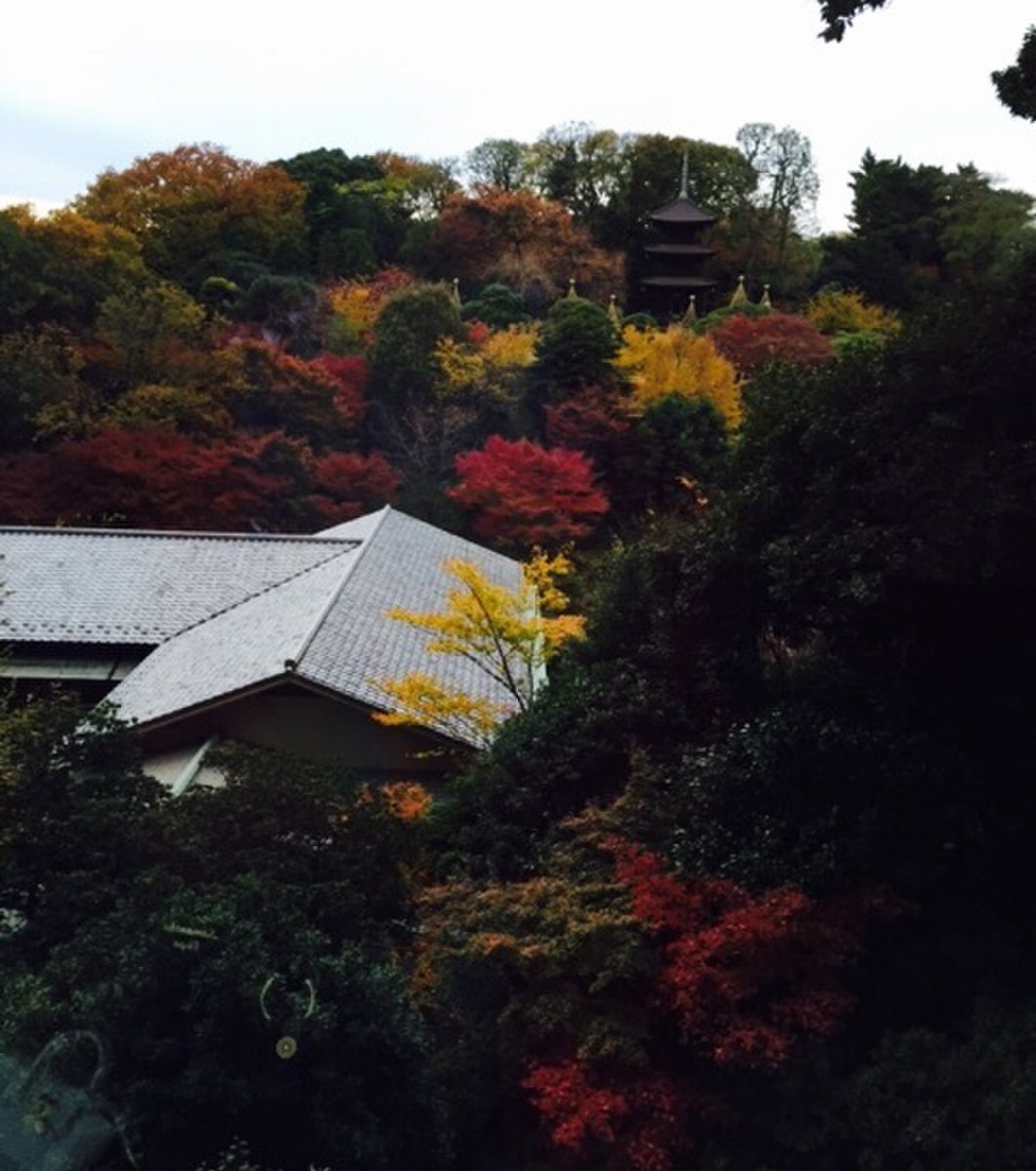 椿山荘 庭園