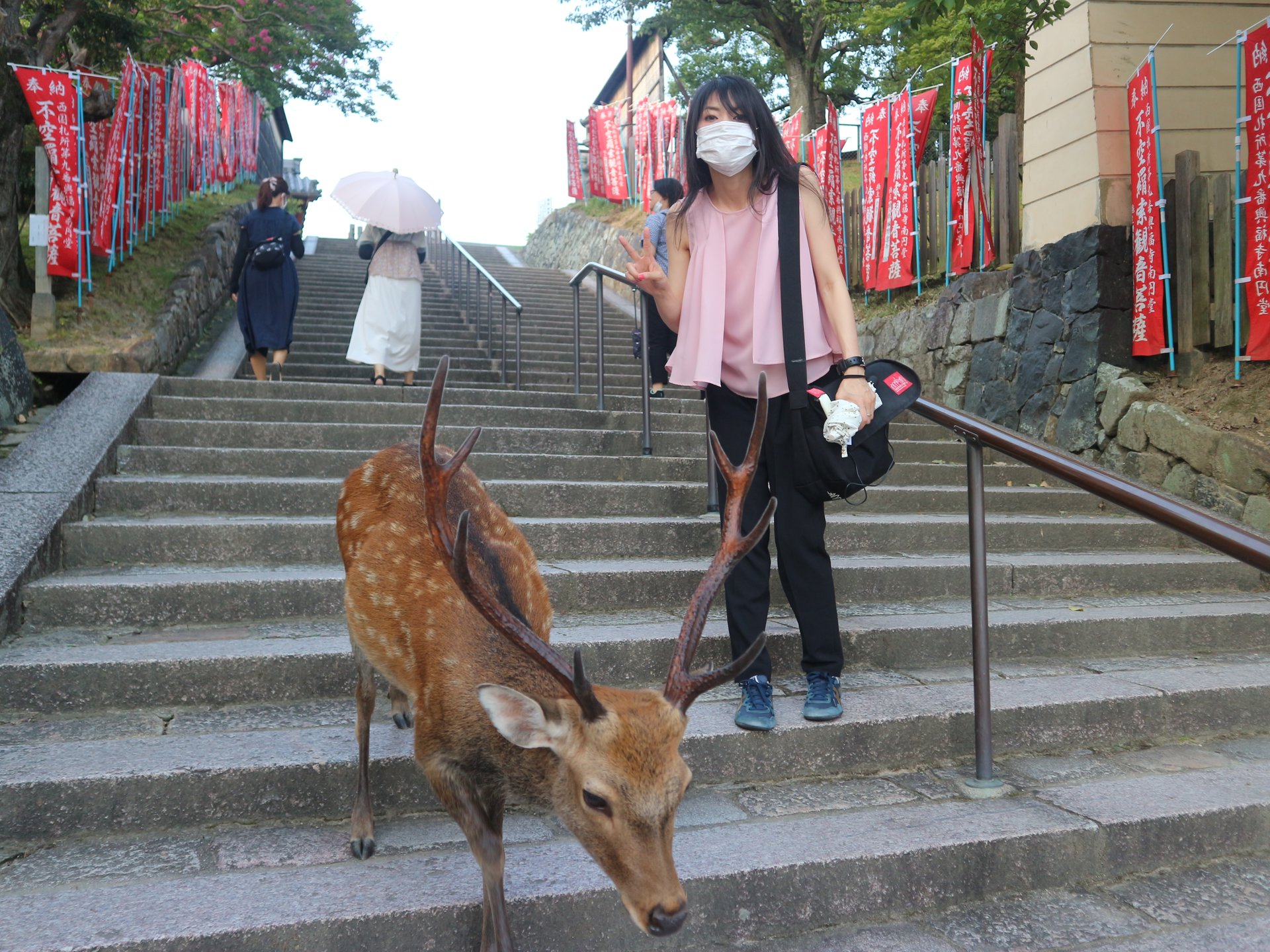 こんな仏像見たことない！安倍文殊院や法隆寺を巡る奈良・歴史再考の旅