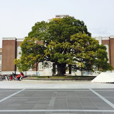 京都大学