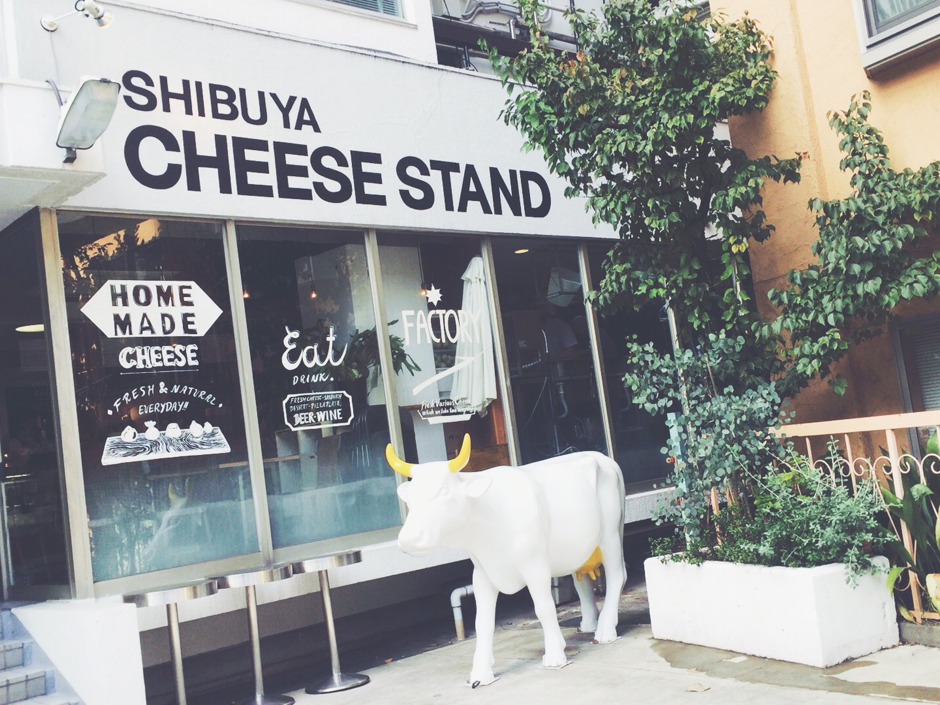 集え！チーズ好き！手軽に本格チーズが味わえるお店【チーズスタンド】＠奥渋谷
