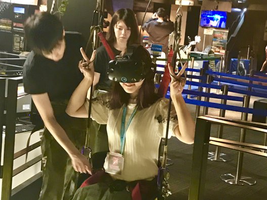 【閉店】VR PARK TOKYO（ブイアールパークトーキョー）