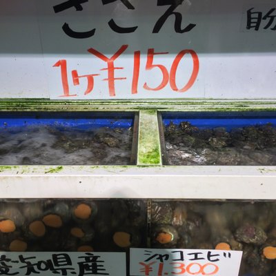 豊浜 魚ひろば