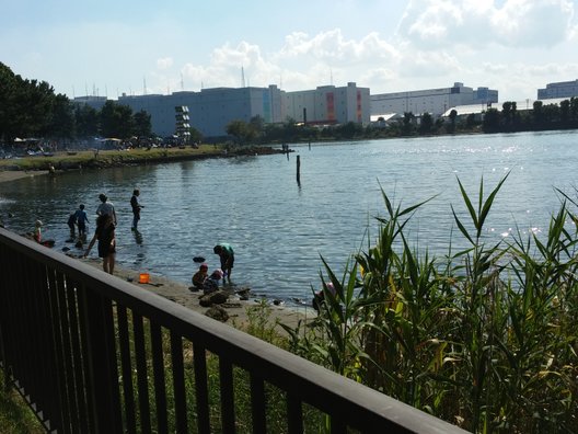 大井ふ頭中央海浜公園