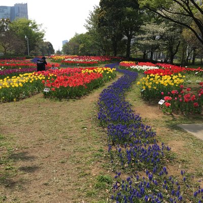 パナソニックセンター東京