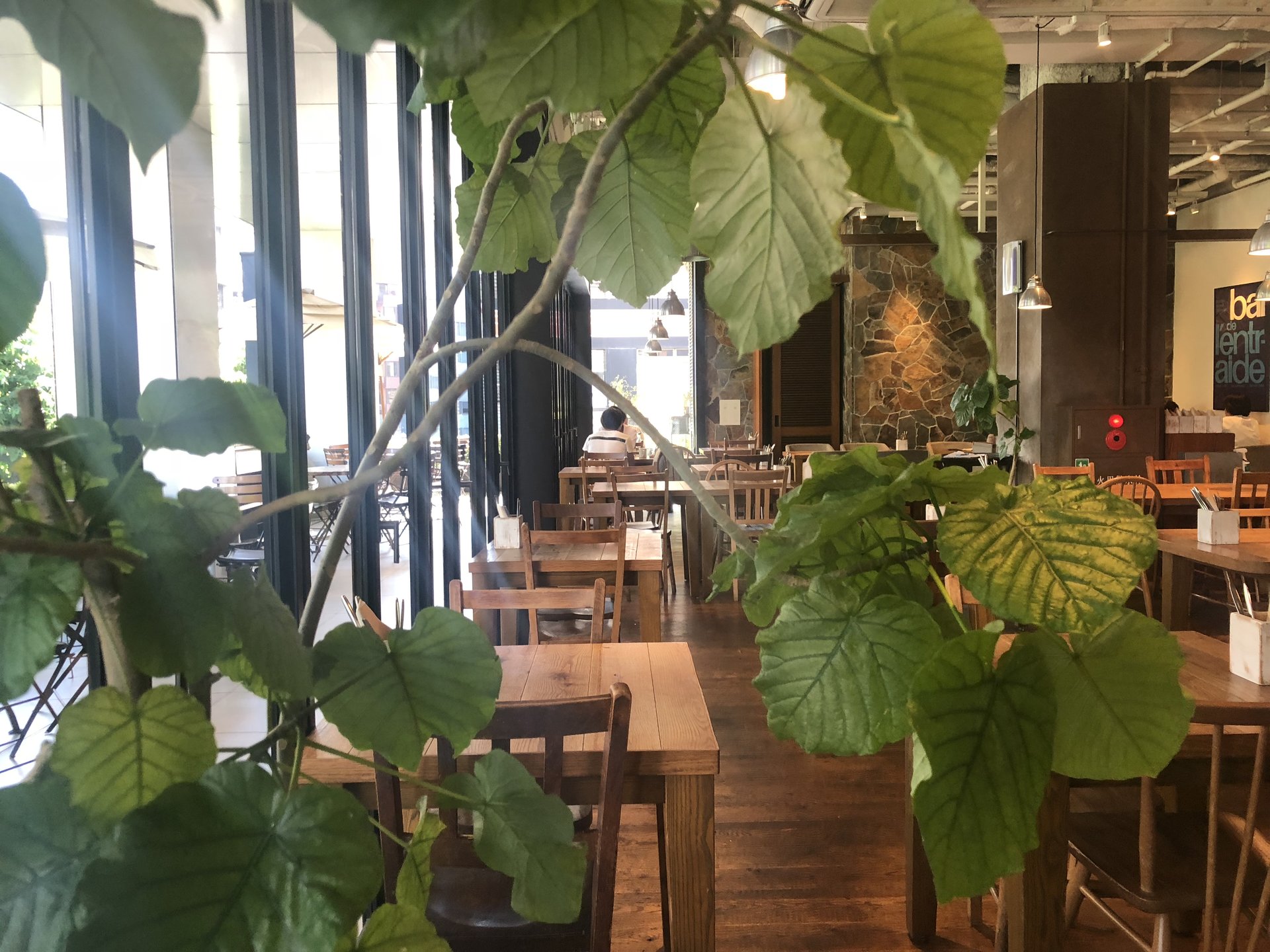 【渋谷おすすめランチ】ロイヤルガーデン・植物のあるカフェ